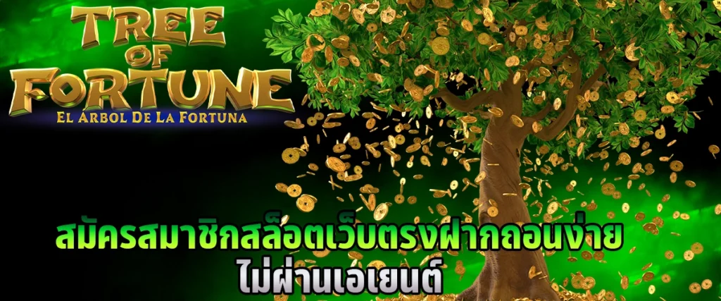 Apply for membership direct slot website easy deposit and withdrawal no agents